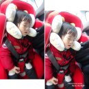 목보호쿠션 엘비니앤코 목베개로 장시간 외출에도 걱정 뚝.
