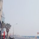 우두랜드 | 제주도 뚜벅이 여행 2탄-아이랑 제주버스여행