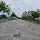 스파이용원 네이버블로그
