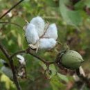 (주)황성산업 이미지