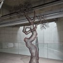 내리다 | 이길래 개인전, 늘 푸른 생명의 원천에 뿌리를 내리다. 사비나미술관 관람 후기