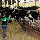 온새미로목장 이미지