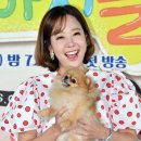 똥강아지 이미지