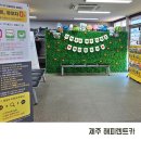 웹카 | 제주도 해피렌트카 아반떼 가격 재방문 내돈내산 후기