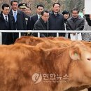 횡성축산 이미지