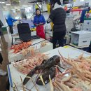 영덕대게 이미지