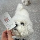 단지까까 이미지