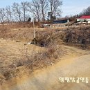 [여주토지]평온한 마을내 구거 접한 평탄지의 토지 이미지