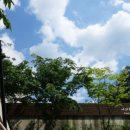 양평꿈의마을오토캠핑장 이미지