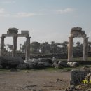 청마당구장 이미지