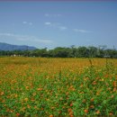 분황사주차장 이미지