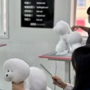 애견미용 이미지