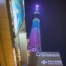 2025년 3월 도쿄 여행기 - 3 (닛산 갤러리/카도헤이/우에노 공원/스카이트리)