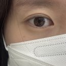 일산 화정속눈썹펌 프롬채채 자연스럽고 예쁜 속눈썹펌 후기