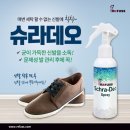 레푸스전주 이미지