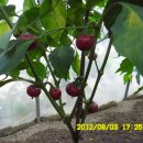 선산대로10-10 이미지
