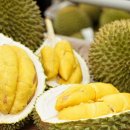 두리안 이미지