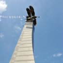 장미세차장 이미지