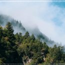 웰빙체형관리 이미지