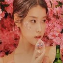 의리포차