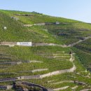 와이식자재마트 이미지