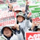 풍년채소