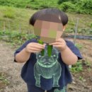 배화어린이집 이미지