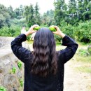 행선농장 이미지