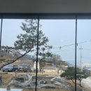 우가현