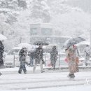 진안-진안-비상-27 이미지