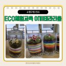 광안노인복지관 | 부산 수영구청 환경위생과 ECO 업사이클링체험 교육 이끼테라리움 만들기