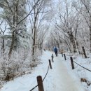 이요안 | 이요안 함백산(1,572m)에가다
