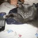 come&play English 이미지