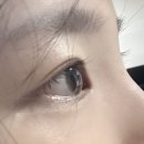비비아트집 네이버블로그