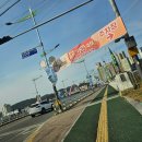 사과향기 | [2025 제10회 홍천사과축제] 사과향기 가득한 가을! 직접 다녀온 생생 후기