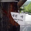 기영 이미지