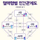 혈액형별 식탐/인간관계도 이미지