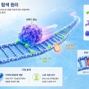 노벨 인쇄 기획