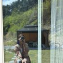 강릉실비식당 | 체험판 (고인물의 연휴캠핑..🏡,둔내 뼈짬뽕,평창 산들산채식당,월정사,강릉 쉘리스,육영탕수육 후기)
