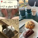 김밥in카페 | [제주 제주시] 제주 대형카페, 동백꽃 명소 무료, ‘자연 in Plant 827’