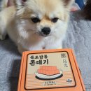 쫀데기1973 이미지