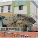 간성초등학교 이미지