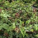 갈맷길 2-2 구간 이미지