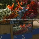 리얼컴 이미지