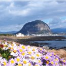 제주 서귀포 산방산 이미지