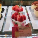 투썸다송로점 | 투썸 생딸기 듬뿍 우유 생크림/제철 맞은 딸기라떼 후기