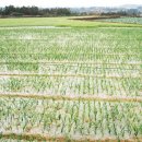 무지개영농조합법인 이미지