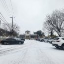 도도브로스 이미지