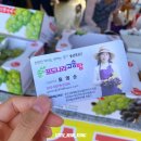 송산포도나라