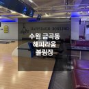 수원 금곡동 수원놀거리 해피라움볼링장 후기